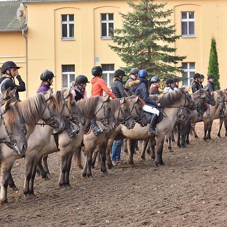 Stado Ogierow Sierakow Hotel Sierakow  Eksteriør billede